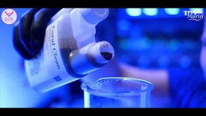 Tropic Marin Coral-Clean: как очистить кораллы от вредителей и защитить свой морской аквариум