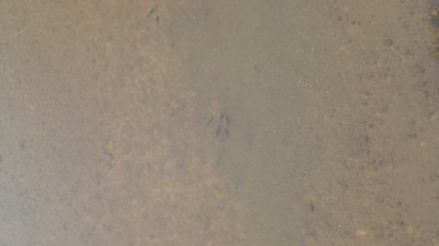 slingshotfishing(РЕЛАКС для РЫБАКА) смотреть онлайн