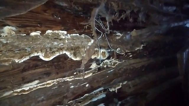 ВЛОГ :  НА САМОИЗОЛЯЦИИ / ТРИ ДНЯ В ОДНОМ ВИДЕО/  ДОМАШНИЕ ДЕЛА