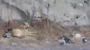 ГАДЖИЕВО