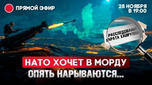 НАТО хочет в морду. Опять нарываются…