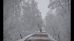 Зима в «Тарханах»