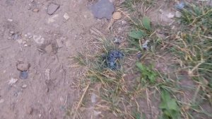 Горение титановой стружки