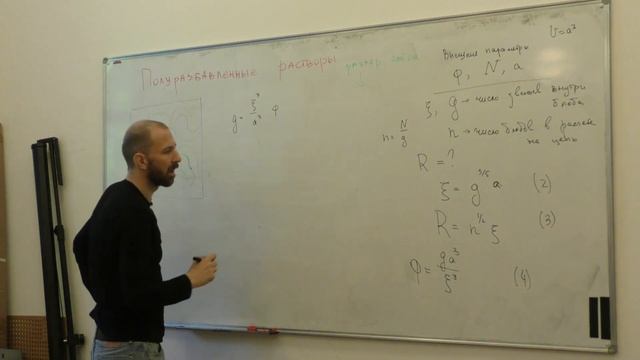 Тамм М. В. - Физика полимеров - 12. Идея скейлинга в физике полимеров