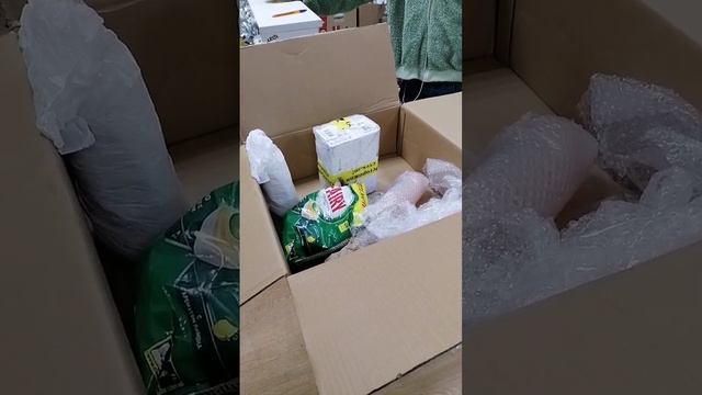 проверка возврата audioquest 303