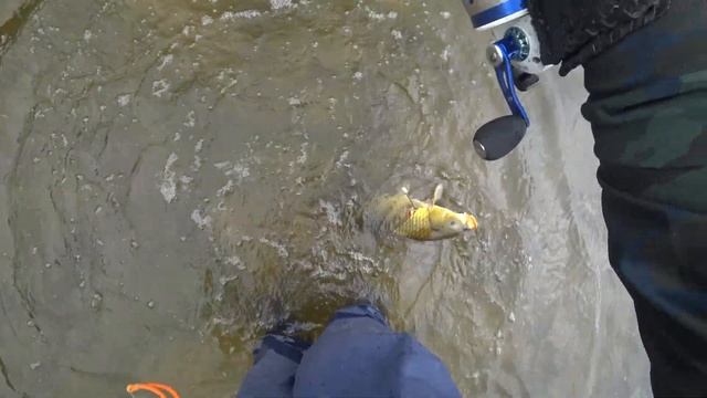 Осенний теплый день охота на сазана смотреть онлайн