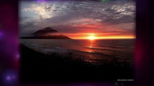 ШАЛЬНАЯ ВЕСНА