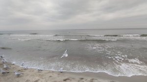 Светлогорск (Rauschen). На берегу Балтийского моря. 2024.