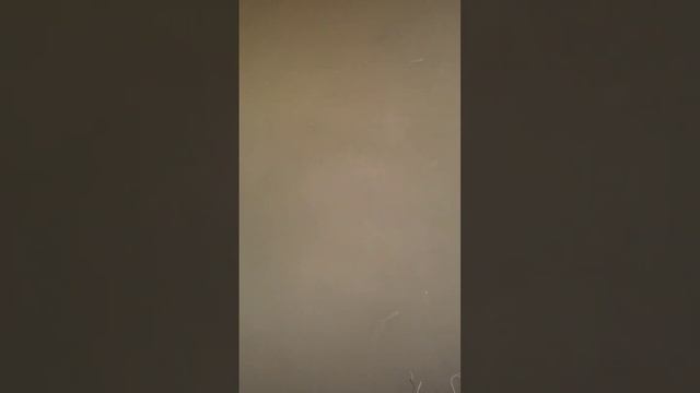 @slingshotfishing смотреть онлайн