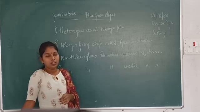 degree 1 bot (14/12) смотреть онлайн