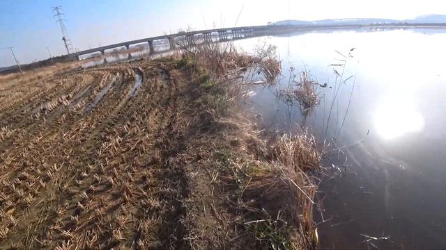 Настрелял карасей с рогатки смотреть онлайн