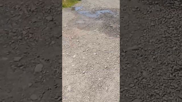 обзор на Kinder смотреть онлайн