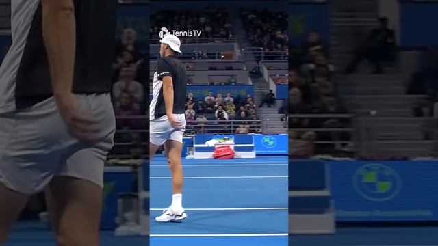 Vintage Andy Murray Dropshot