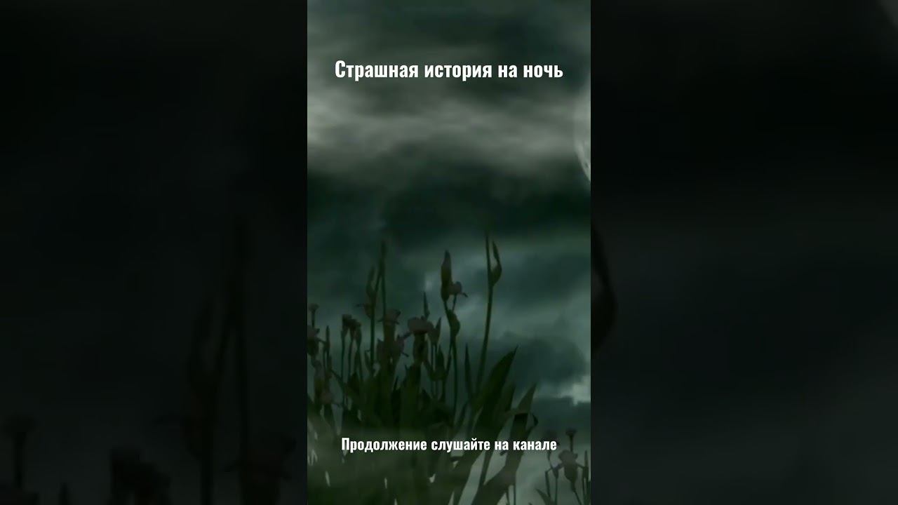 Страшная история на ночь. Страшилки