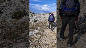 Крыло дракона