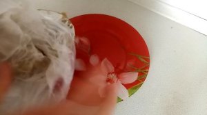 Ливерная колбаса из куриных сердечек