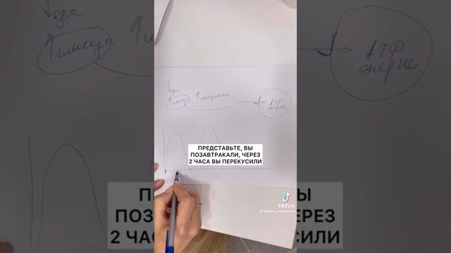 Почему вредны перекусы? 🤔 #китайскаямедицина #пп #еда #инсулин #глюкоза #питаемсяправильно