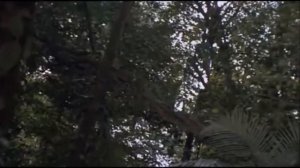 Лучший момент из фильма "Хищник" - Смерть Диллона