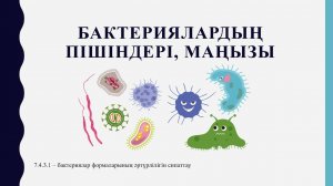 7 сынып. Бактериялар, маңызы, пішіндері
