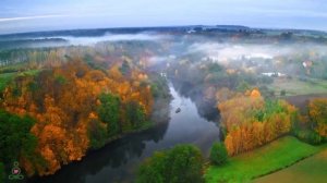 ВОССТАНОВЛЕНИЕ НЕРВНОЙ СИСТЕМЫ 🌿 Нежная музыка, успокаивает нервную систему и радует душу #39