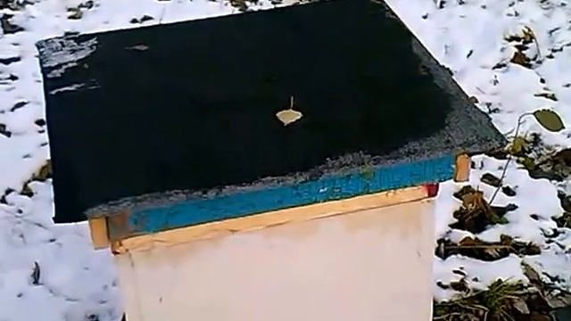 Подготовка пчёл к зимовке. часть 4.