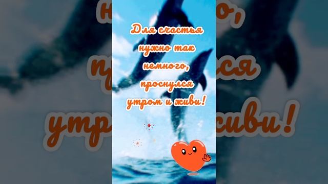 ❤️ смотреть онлайн