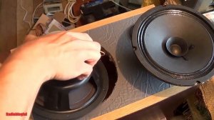 Широкополосники AUDIO NOVA SL-200DC в домашней акустике