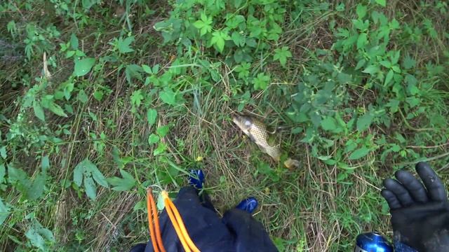 Разведка с дрона на сазана(охота с рогаткой,slingshot fishing) смотреть онлайн