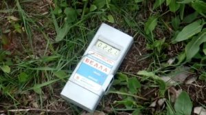 Радиационный фон в Брянской области