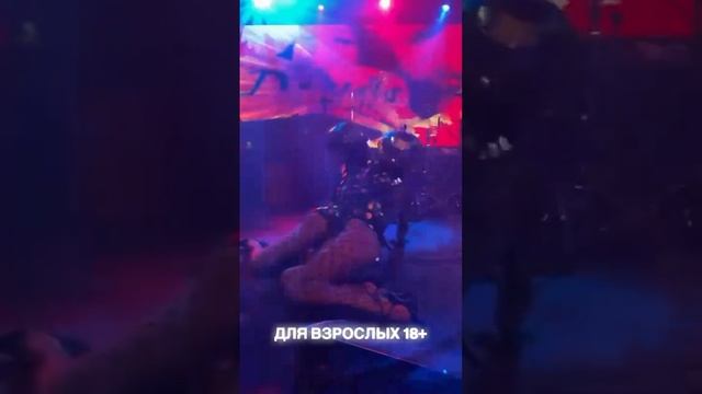 Шоу-программа «Зеркальные люди» #100друзей #организациямероприятий #dance100 #праздник #новыйгод