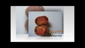 Семена помидоров почтой  Акция!