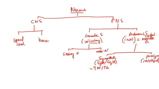 Study Strategy: Utilizing Flowcharts