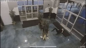 Юморные видео приколы. Смешная нарезка видео. Лучшие моменты.