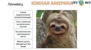 Эндемичные растения и животные