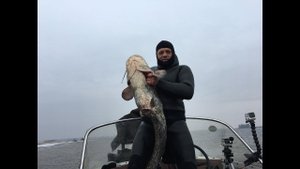 ПОДВОДНАЯ ОХОТА НА СОМА!