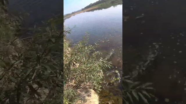 @slingshot fishing смотреть онлайн