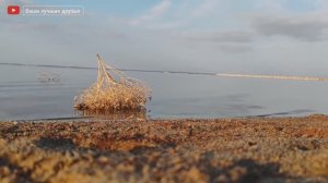 ОЧЕНЬ ПОЛЕЗНОЕ РОЗОВОЕ ОЗЕРО САСЫК-СИВАШ. ЛЕТАЛЬНЫЕ СЛУЧАИ ОТ ГРЯЗИ. ОСТОРОЖНО!