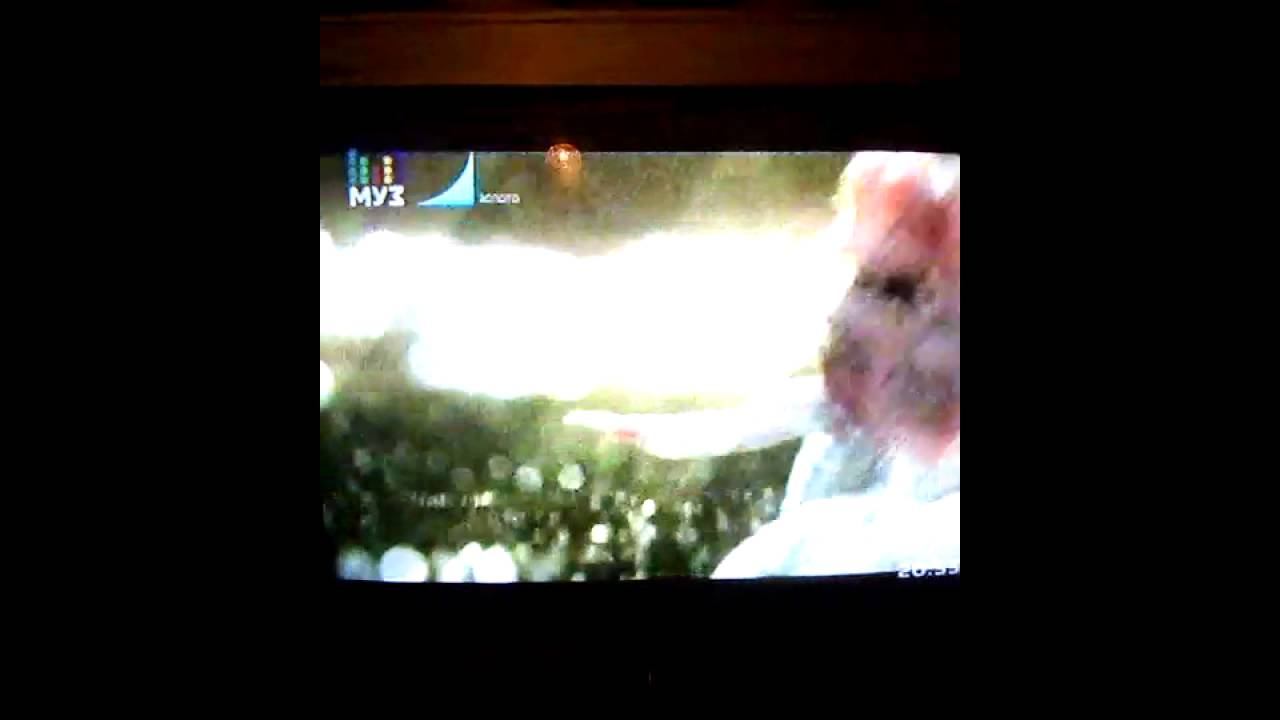 Клип про курочек смотреть онлайн