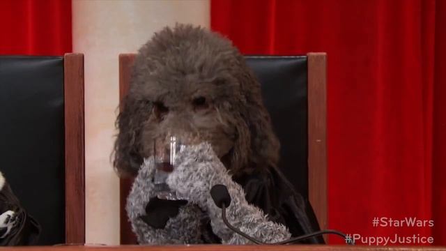 #PuppyJustice #StarWars - Jedi Council смотреть онлайн