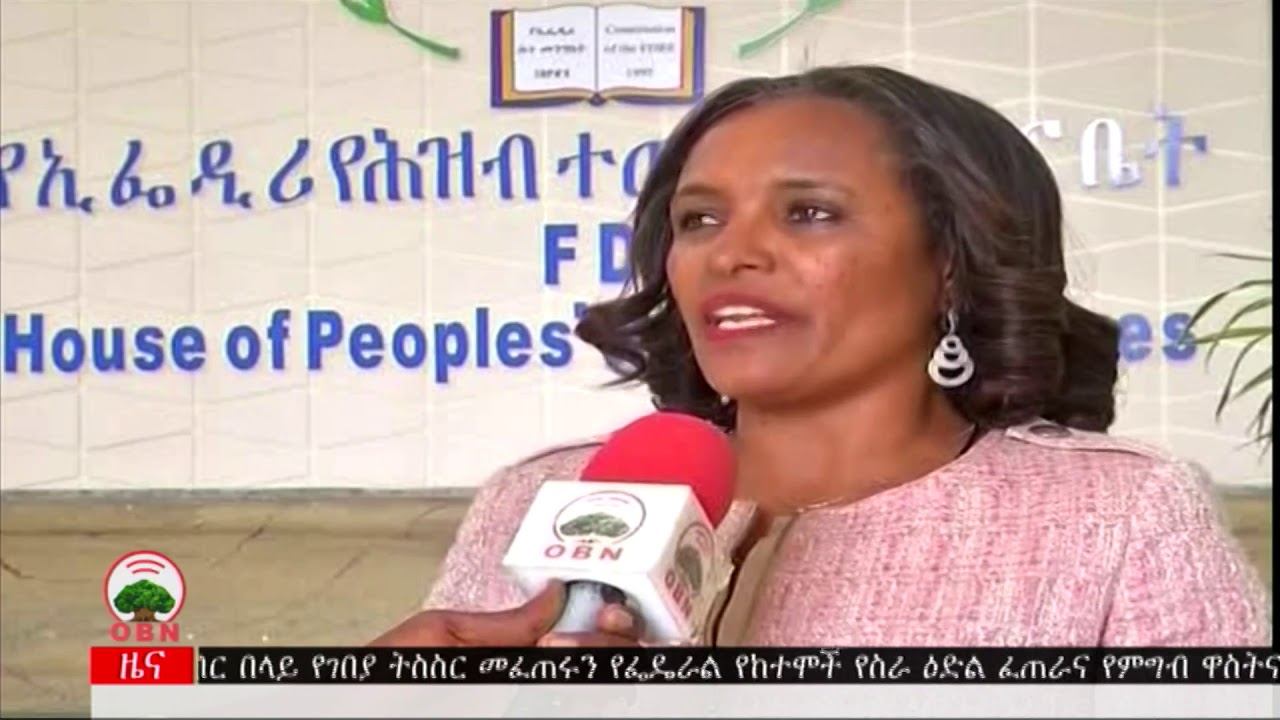 Obn oromiyaa [oromia broadcasting network]. Youtube amharic news. Youtube amharic news. Youtube amharic news. Obn oromiyaa [oromia broadcasting network].