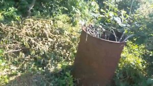 Как избавиться от диких кустарников в огороде.