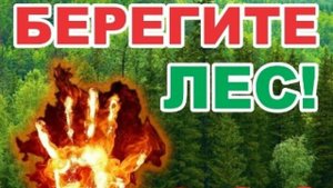 Берегите лес!