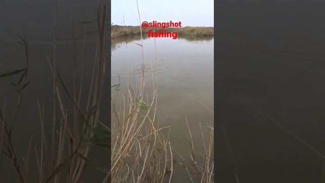 @slingshot смотреть онлайн