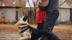 Соревнования по защитному разделу / ЗКС /