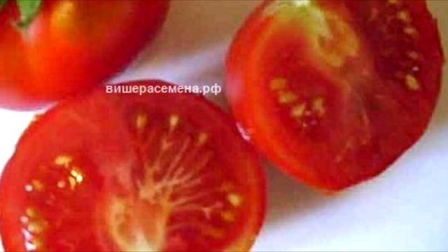 Самые ранние помидоры купить.