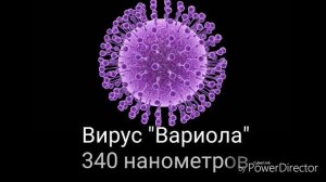 СРАВНЕНИЕ РАЗМЕРОВ (Часть 1 - мельчайшие объекты)