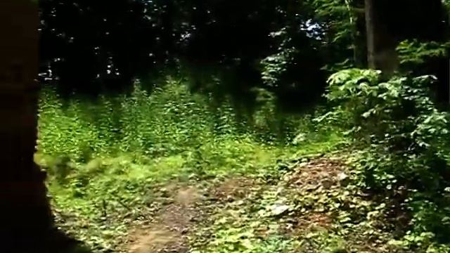 НАДНЕМАН (15, 20. 06. 2017г.) ус.Наркевича-Иодко БЕЛАРУСЬ автор Красиева Л. смотреть онлайн