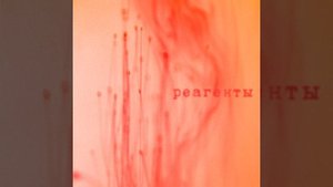 Мир товаров и услуг (Acoustic)