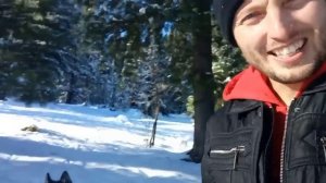 НАША КОМАНДА ПРИВЕТСТВУЕТ ВАС ДРУЗЬЯ !!!!!!! #собаки #дрессировка #друзья #породысобак