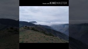 Фуркат Мастонов туена